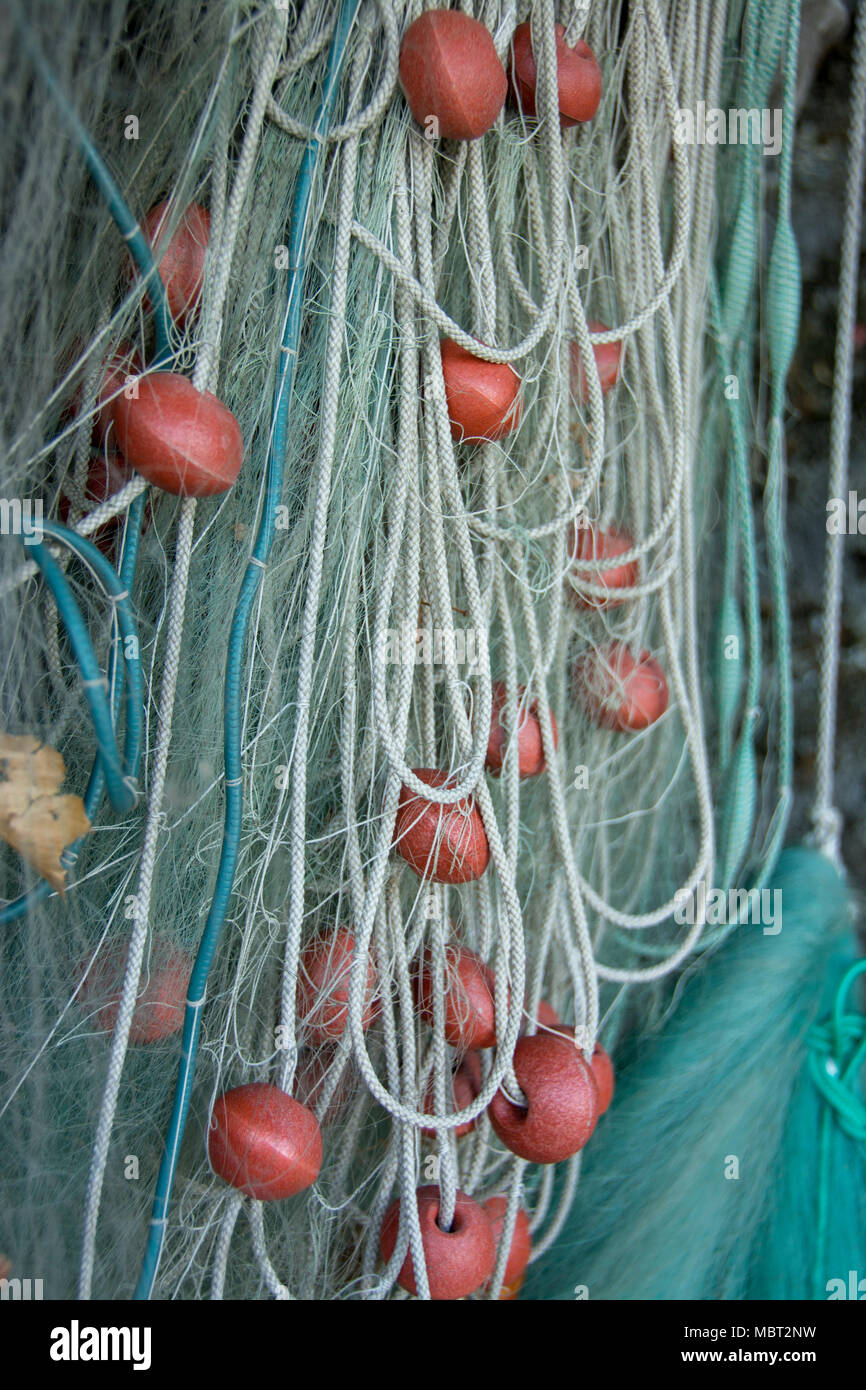 Labelled Fish Net Fish labelled hi-res stock photography and images - Alamy