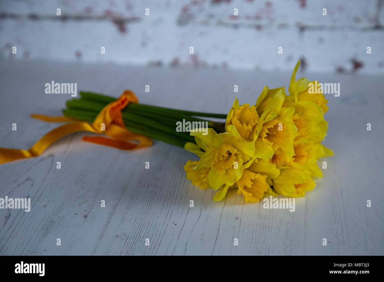 A bunch of daffodils tied with an orange ribbon placed on a white laminate floor. Stock Photo