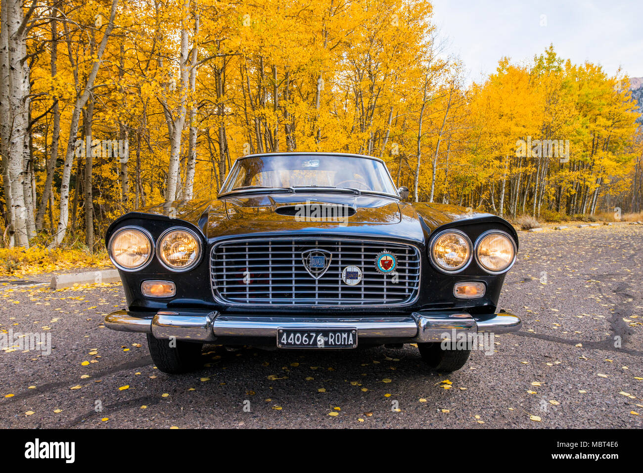 A 1961 Lancia Flaminia car surrounded by fall color in June Lake, California. Stock Photo