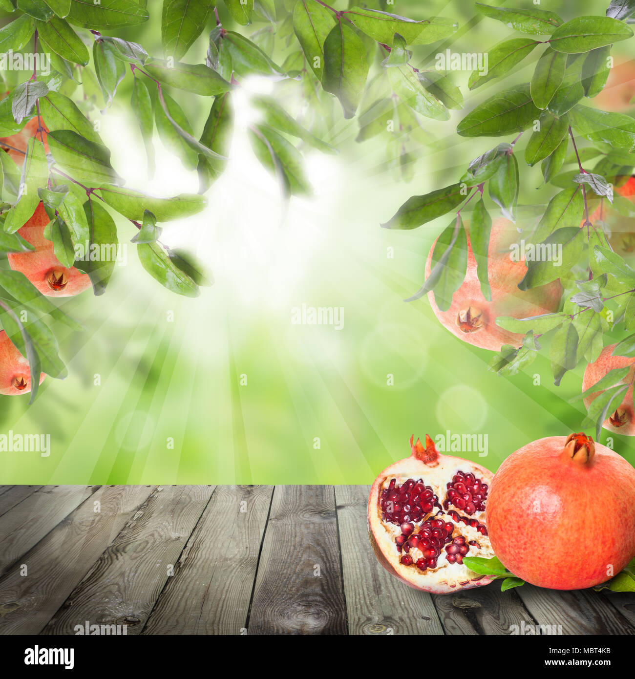 Ripe Pomegranate fruit on green background with garnet tree leaves