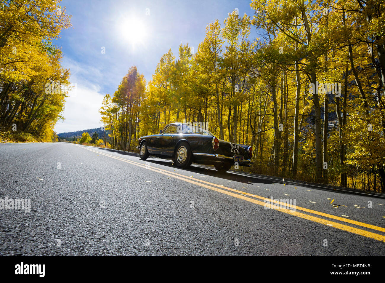 A 1961 Lancia Flaminia car drives through Rock Creek Canyon surrounded by fall color in the Eastern Sierra near Toms Place, California. Stock Photo