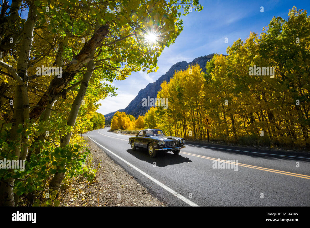 A 1961 Lancia Flaminia car drives through Rock Creek Canyon surrounded by fall color in the Eastern Sierra near Toms Place, California. Stock Photo