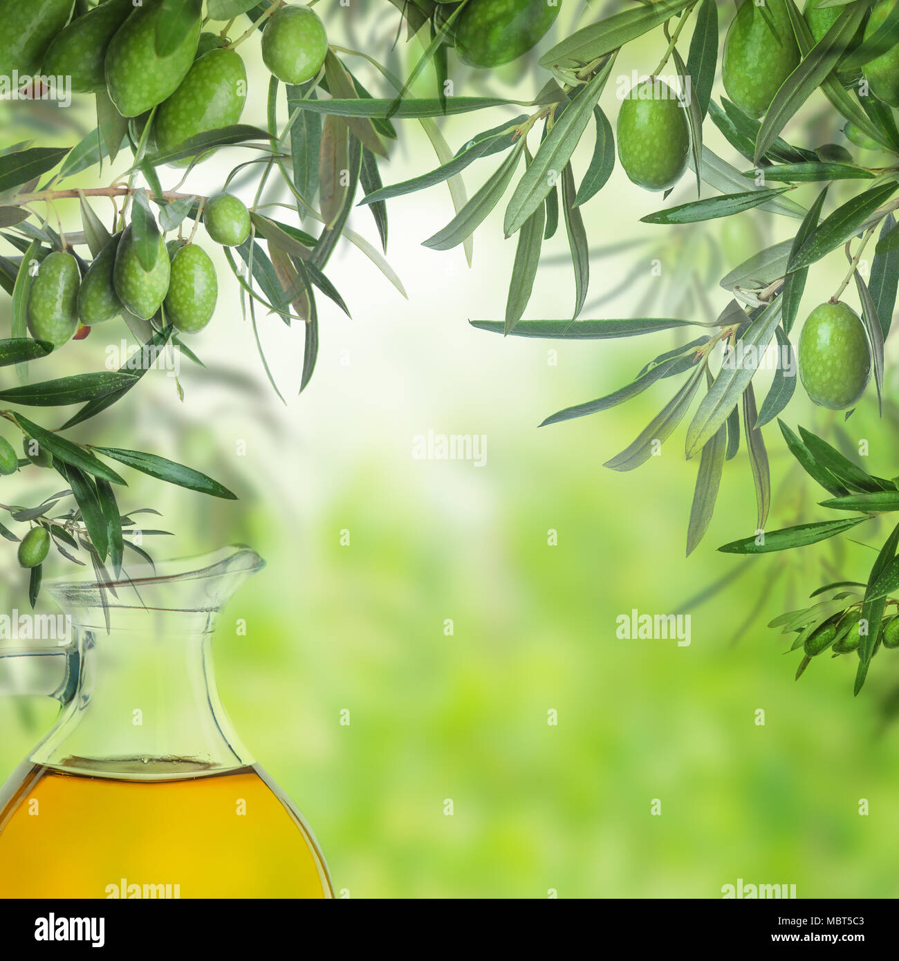Olive oil bottle and green olive tree leaves on abstract green background  Stock Photo - Alamy