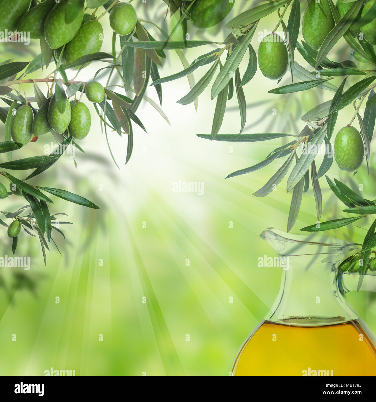 Food background. Green kalamata olives and olive oil on sunny nature