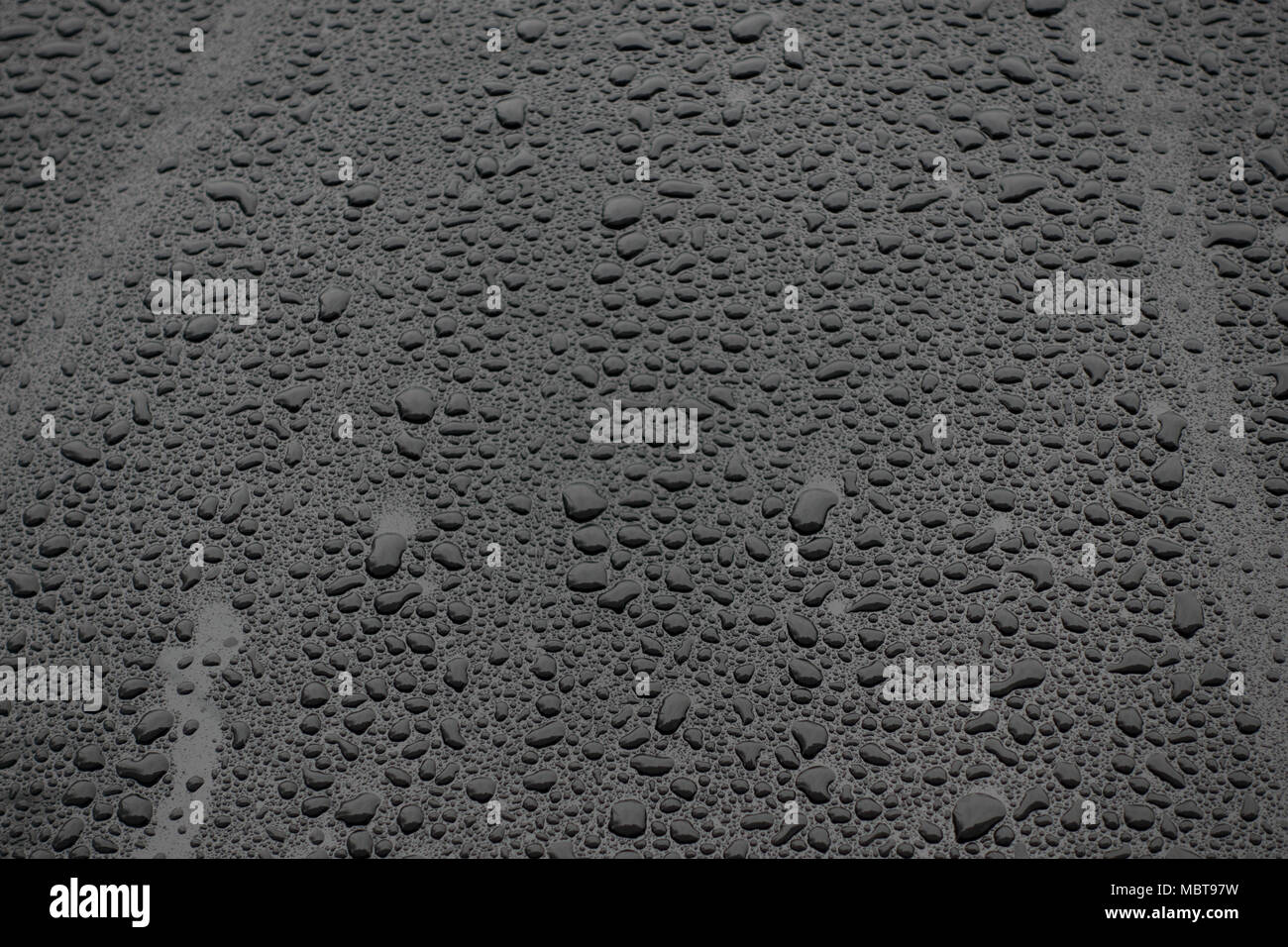 Black car hires stock photography and images Alamy