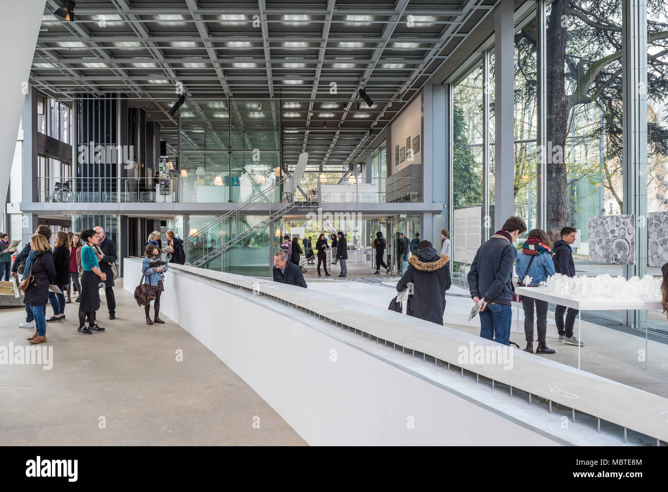 fondation cartier fr