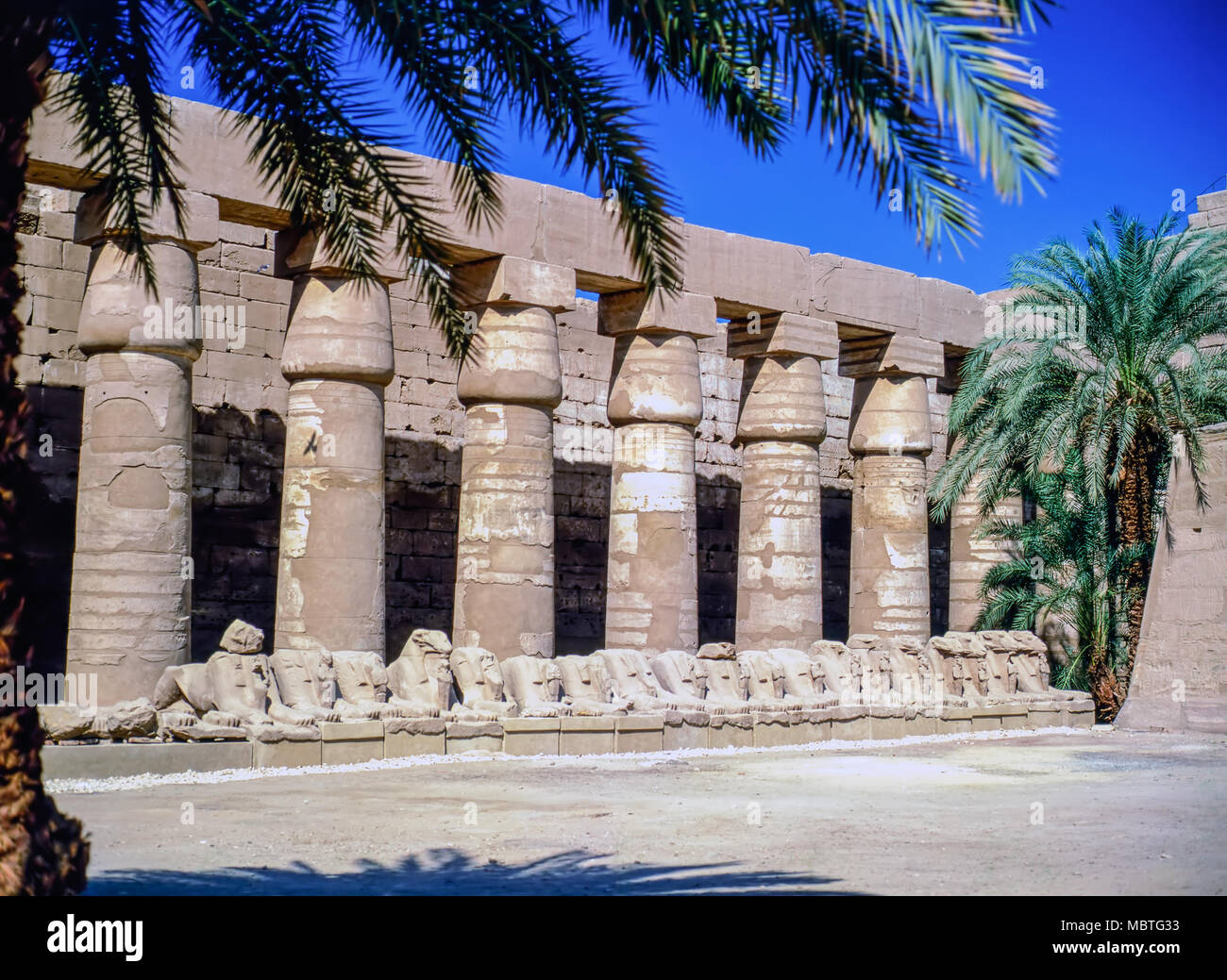 Temple in Luxor Stock Photo