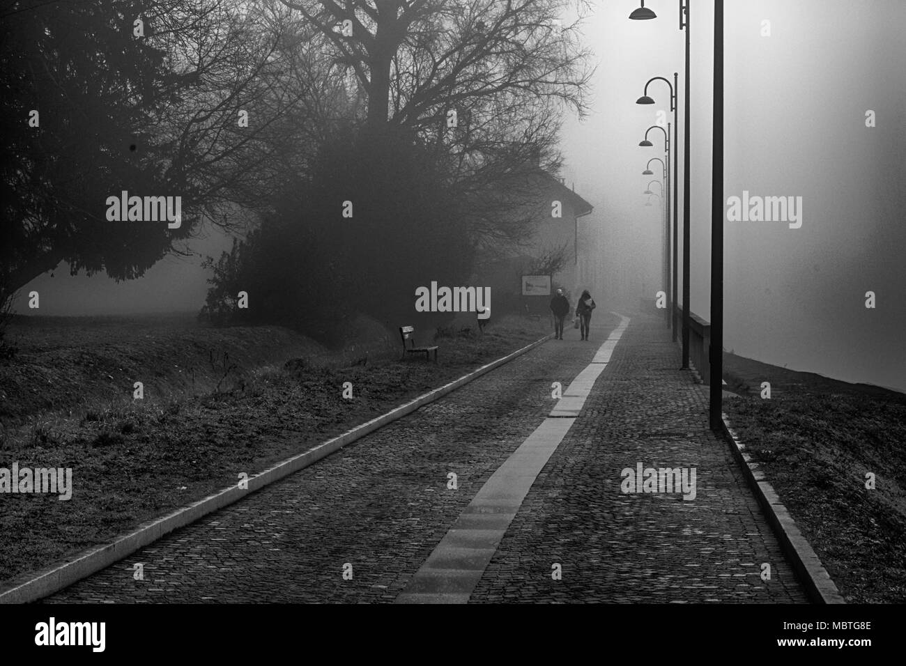 Mystical Walk path with fog silhouette of trees and man, misty walkside, foggy place. Stock Photo