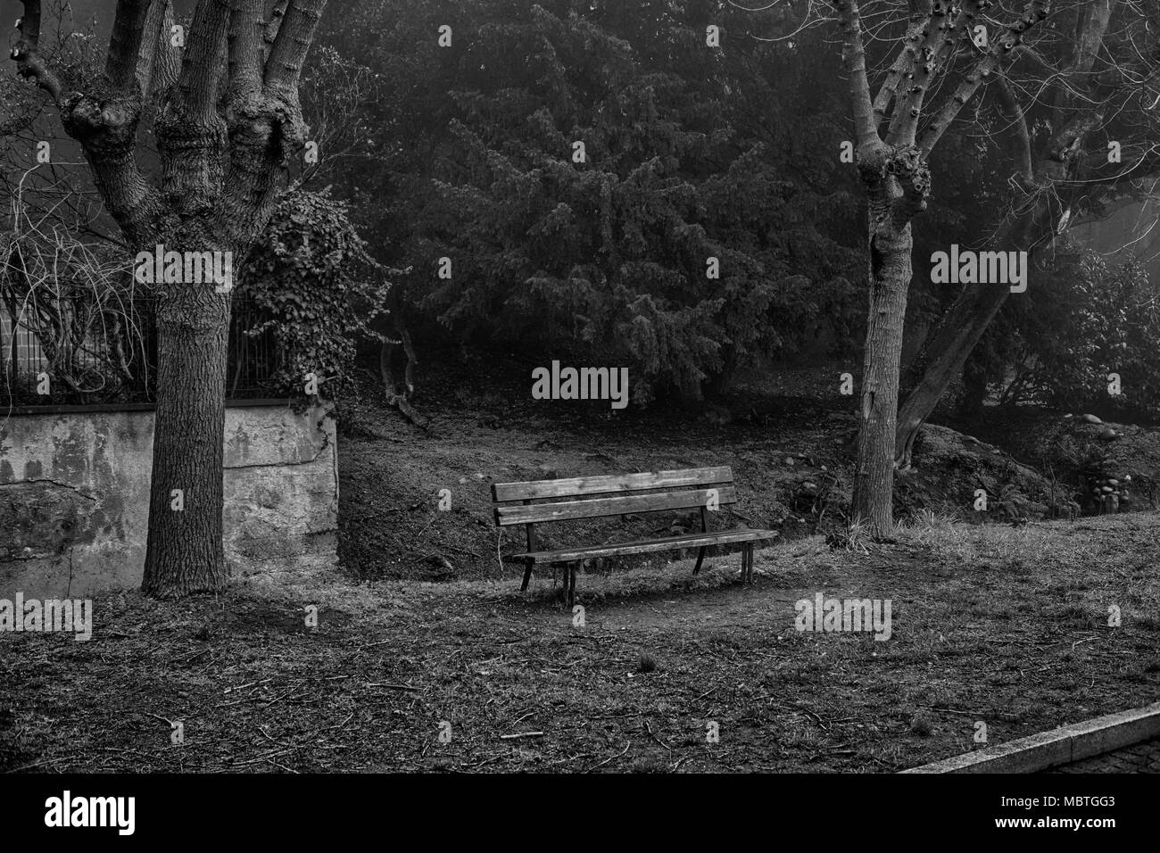 Alone benche in the foggy towpath, no people, lonely mood. Stock Photo