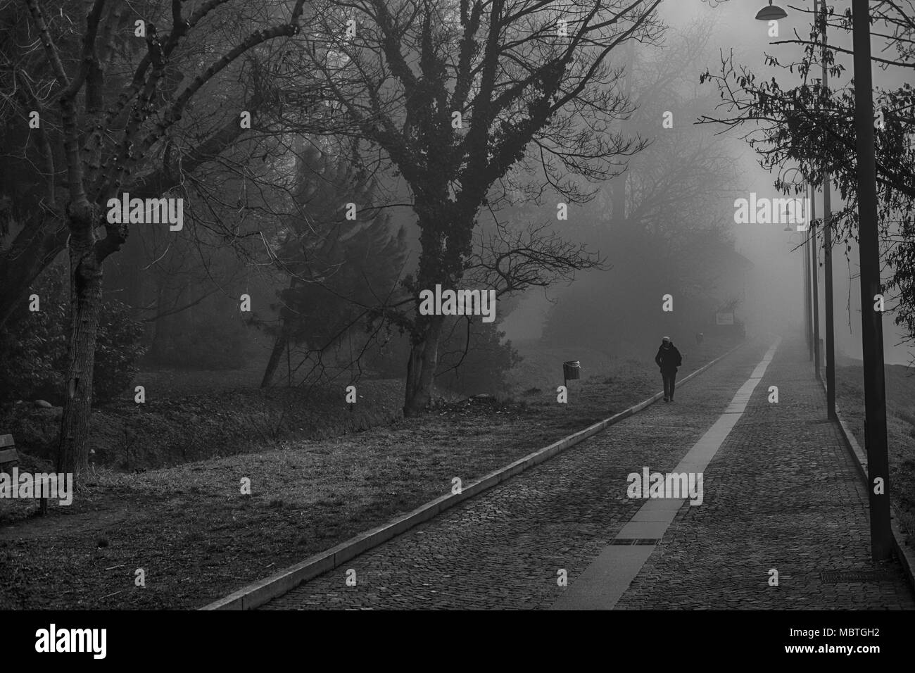 Mystical Walk path with fog silhouette of trees and man, misty walkside, foggy place. Stock Photo