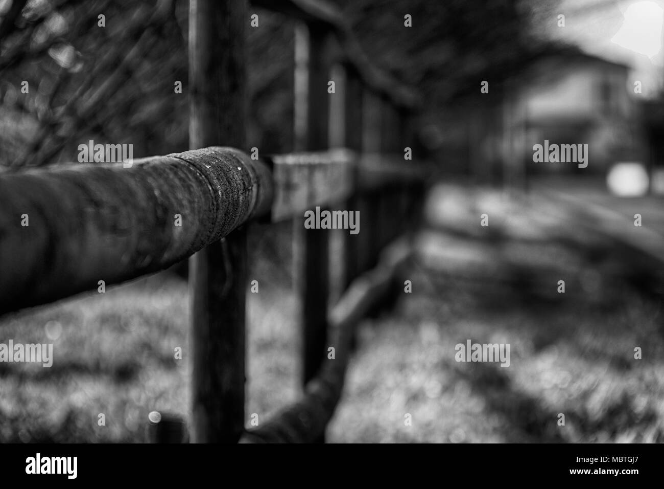 Fence in the green field near the road, good for background. Stock Photo