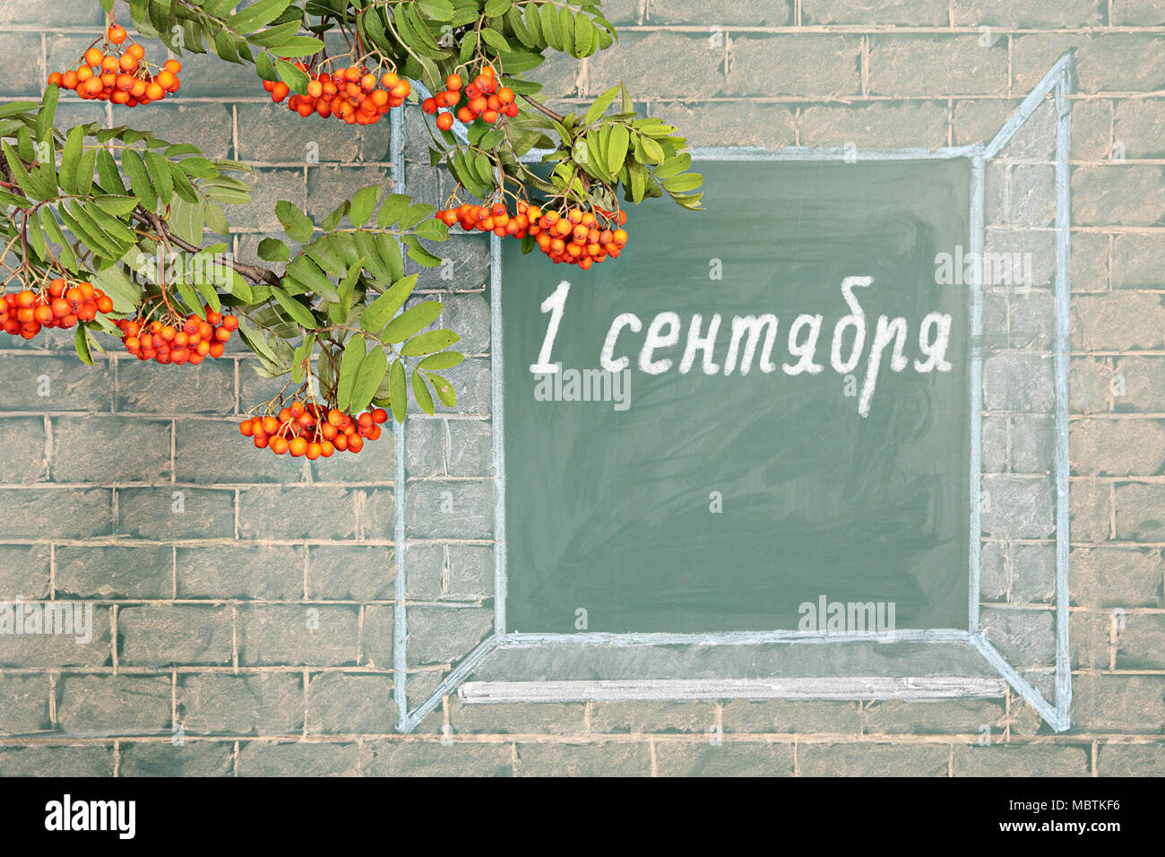 Rowan blackboard discount