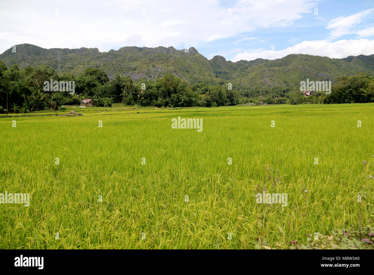 Rumah adat sulawesi hi-res stock photography and images - Alamy