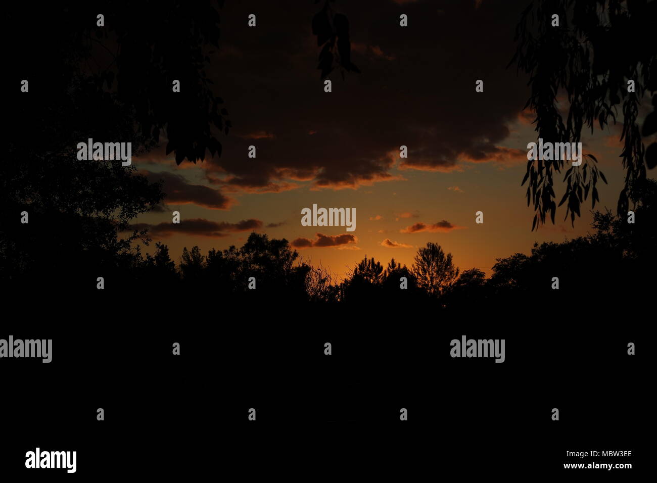 Sunset Silhouette Stock Photo