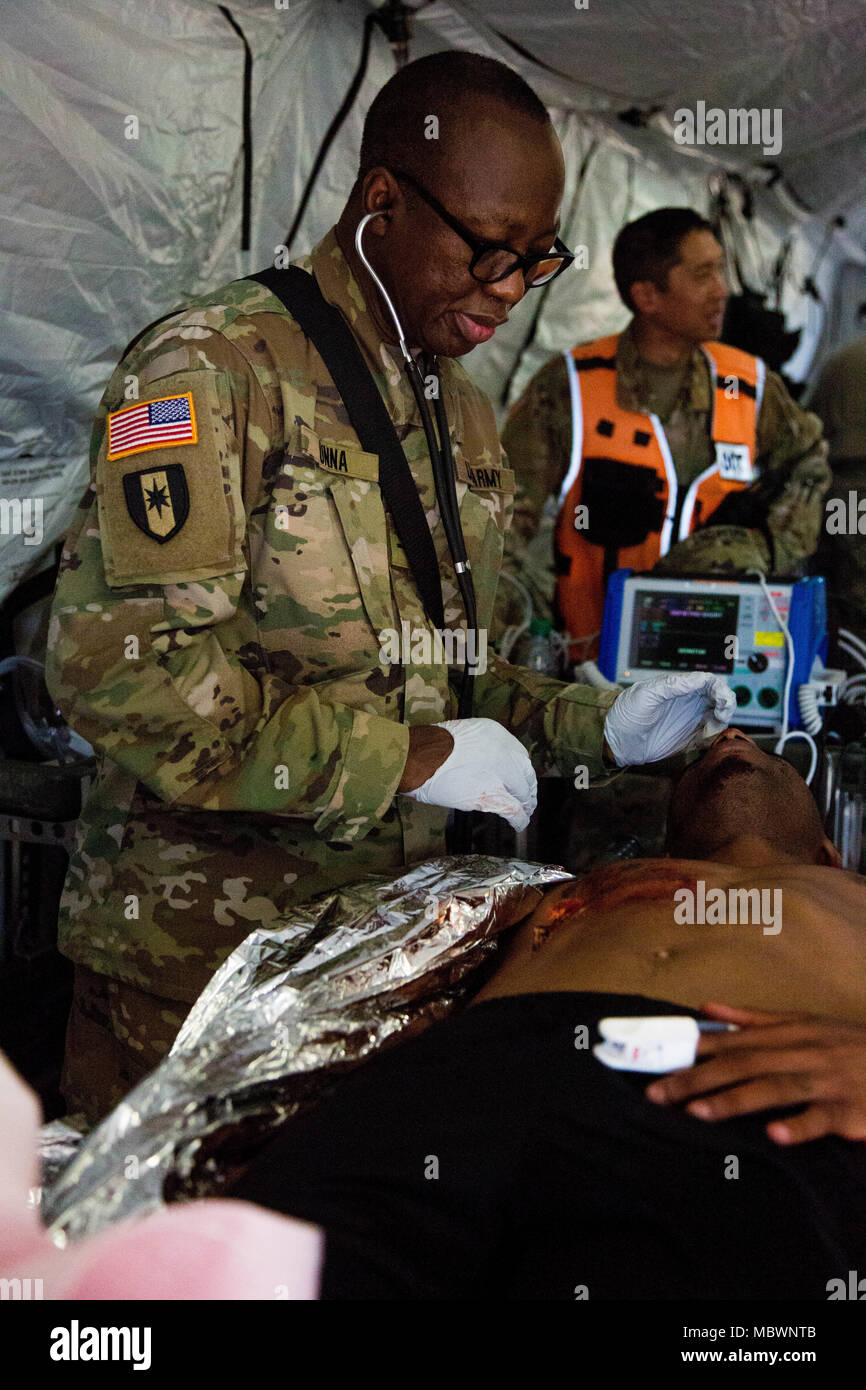 U.S. Army Soldier of the 414th Chemical Company, examine for a simulated mass chemical attack during a Joint Training Exercise hosted by the Miami-Dade Fire Department and Homestead-Miami Speedway in Miami, Fla. Jan. 11, 2018. This JTE focused on building response capabilities and seamless the transition between the local first responders and the follow-on support provided by the National Guard and Active duty soldiers. (U. S. Army Photo by Spc. P.J. Siquig) Stock Photo