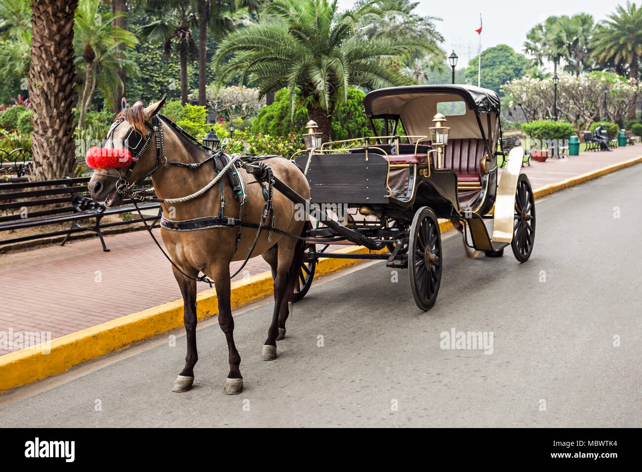 Philippines calesa hires stock photography and images Alamy
