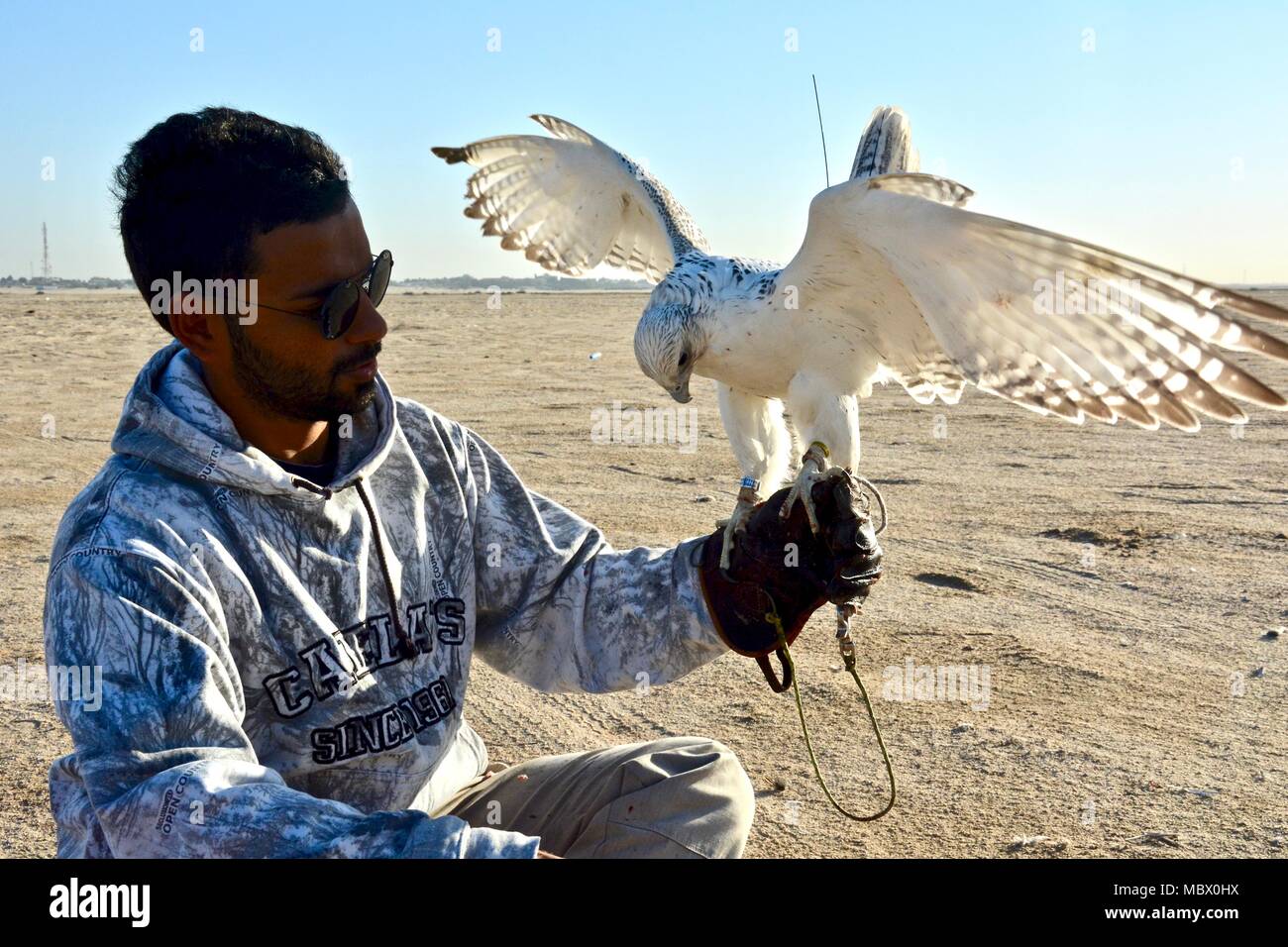 AL ZOUR Mohammad AlFarhan, Falconer, and one of his trained falcons