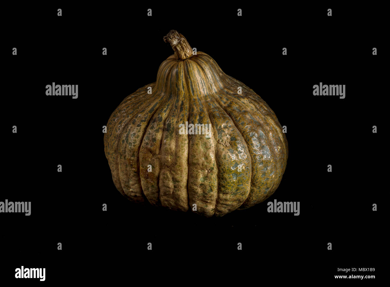 single whole pumpkin isolated on black background Stock Photo - Alamy