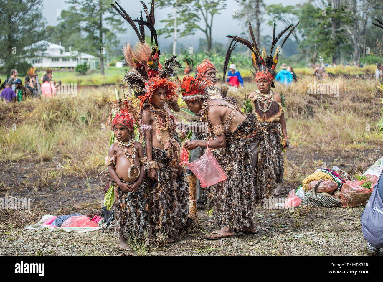 A group of women with traditional feathers costume and headdress, Mount Hagen Cultural Show, Papua New Guinea Stock Photo