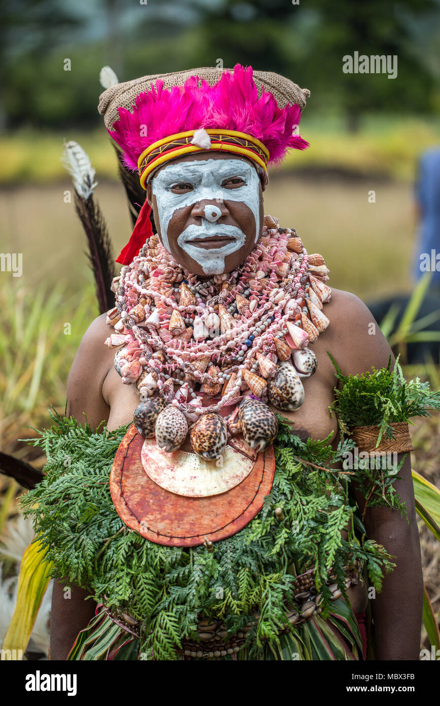 Portrait of a woman with traditional costume and face painting, Mount Hagen Cultural Show, Papua New Guinea Stock Photo