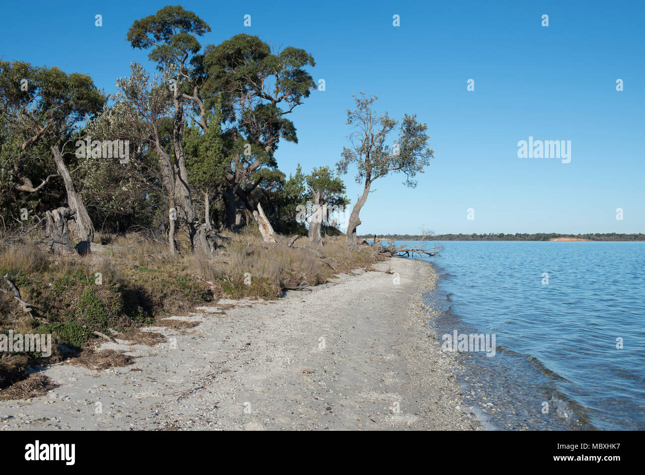 Banksia Peninsula, near the town of Bairnsdale, is a narrow sandy