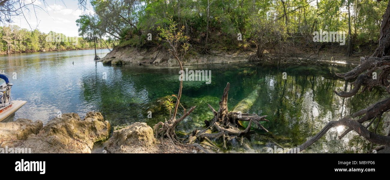 Fletcher Springs on the Suwannee River, near Belle Florida Stock Photo