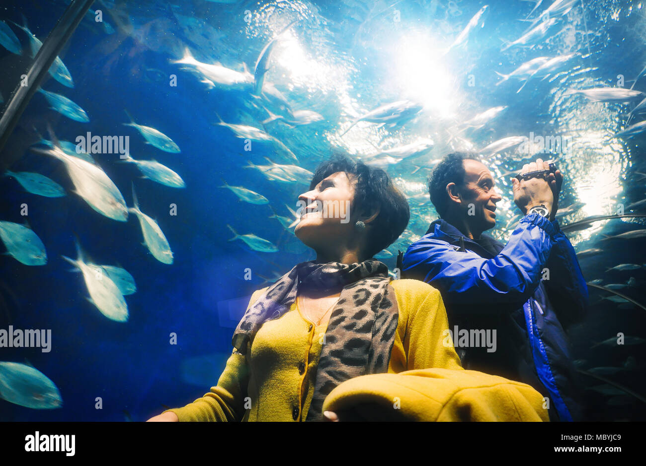 adult man and woman tourists watching fishes in the aquarium tunnel Stock Photo