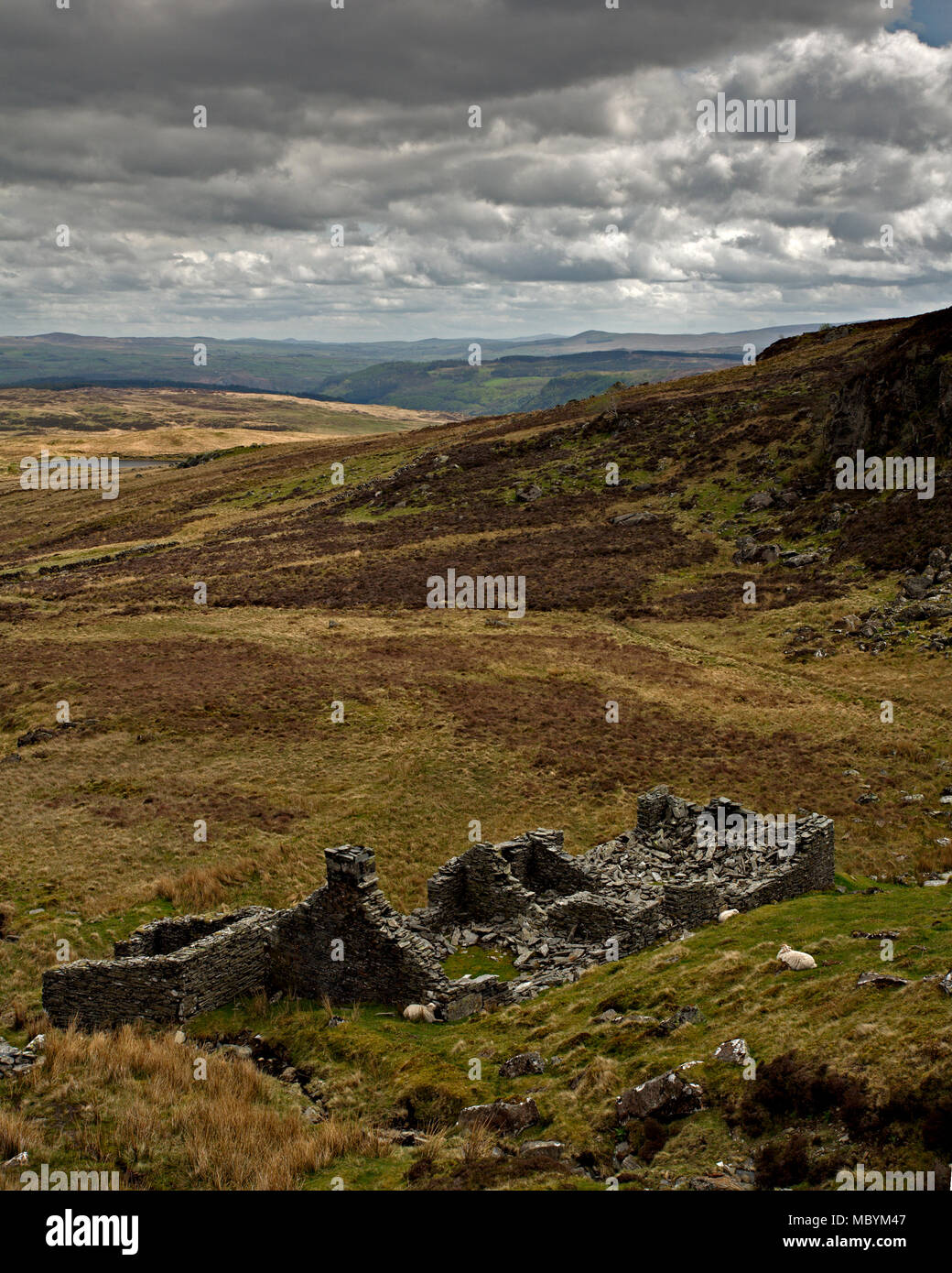 Ruined old stone cottage on Moel Siabod, Snowdonia, North Wales Stock Photo