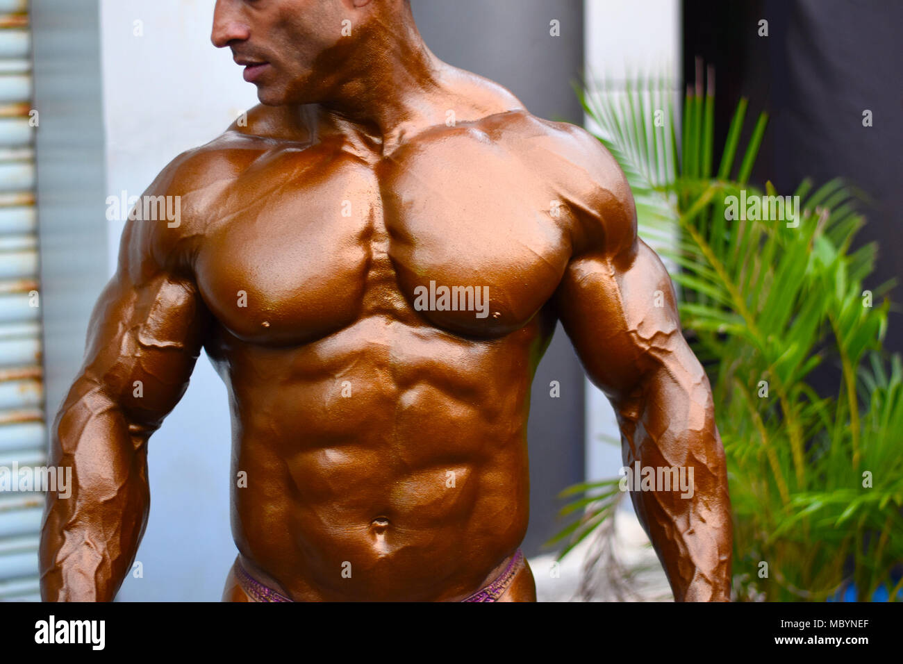 Young bodybuilder showing chest muscles in front pose Indian Body Builders  Association show, Balewadi, Baner, Pune Maharashtra India Stock Photo -  Alamy