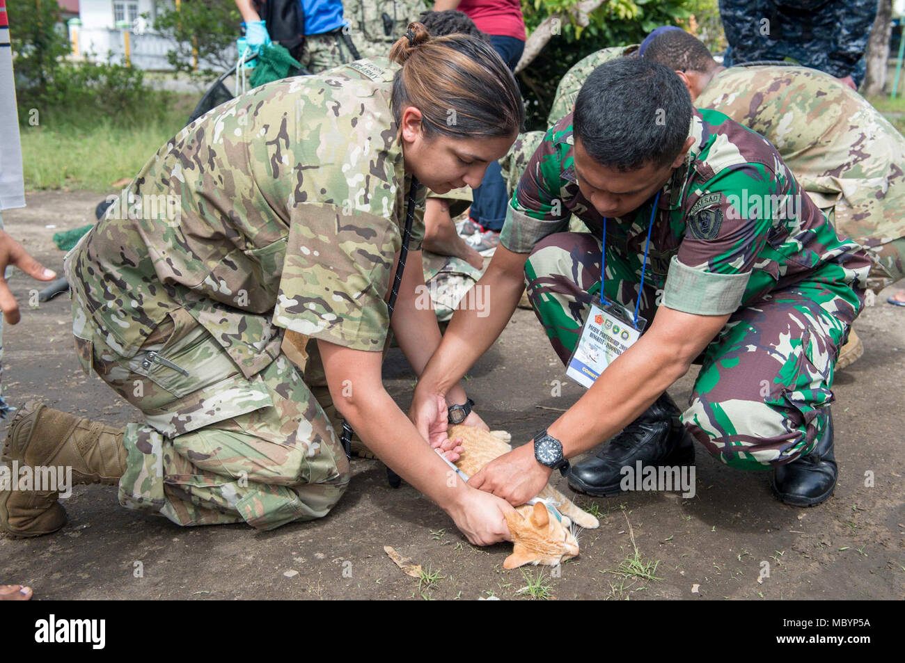 Indonesia (April 4, 2018) Army Spc. Toni Weaver (left), from Castroville, Texas, who is currently assigned to Military Sealift Command hospital ship USNS Mercy (T-AH 19,) demonstrates proper feline handling techniques during a rabies vaccination event.  Weaver and other service members are currently deployed in support of Pacific Partnership 2018. PP18’s mission is to work collectively with host and partner nations to enhance regional interoperability and disaster response capabilities, increase stability and security in the region, and foster new and enduring friendships across the Indo-Pacif Stock Photo