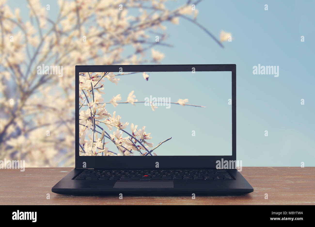Mockup image open laptop hi-res stock photography and images - Alamy