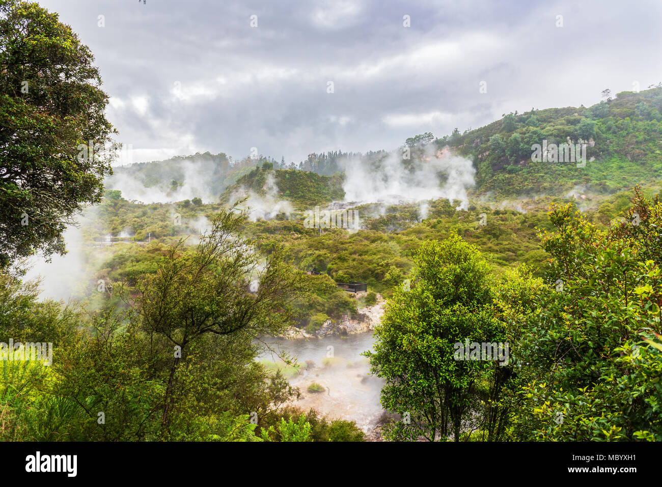 Rotorua summer activity hi-res stock photography and images - Alamy