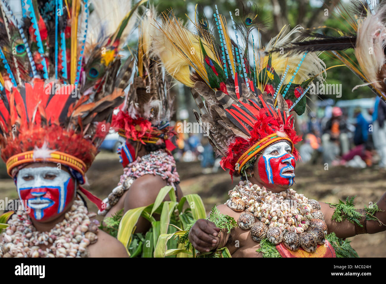 Three women with impressive feathers headdress and shell necklace, Mount Hagen Cultural Show, Papua New Guinea Stock Photo