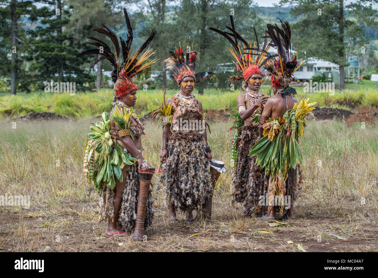 A group of women in in traditional costume prepaing for the show, Mount Hagen Cultural Show, Papua New Guinea Stock Photo