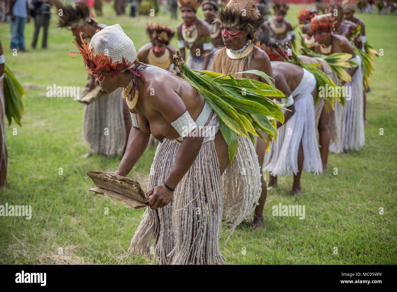 A group of half-naked woman in traditional costume dancing, Mount Hagen Cultural Show, Papua New