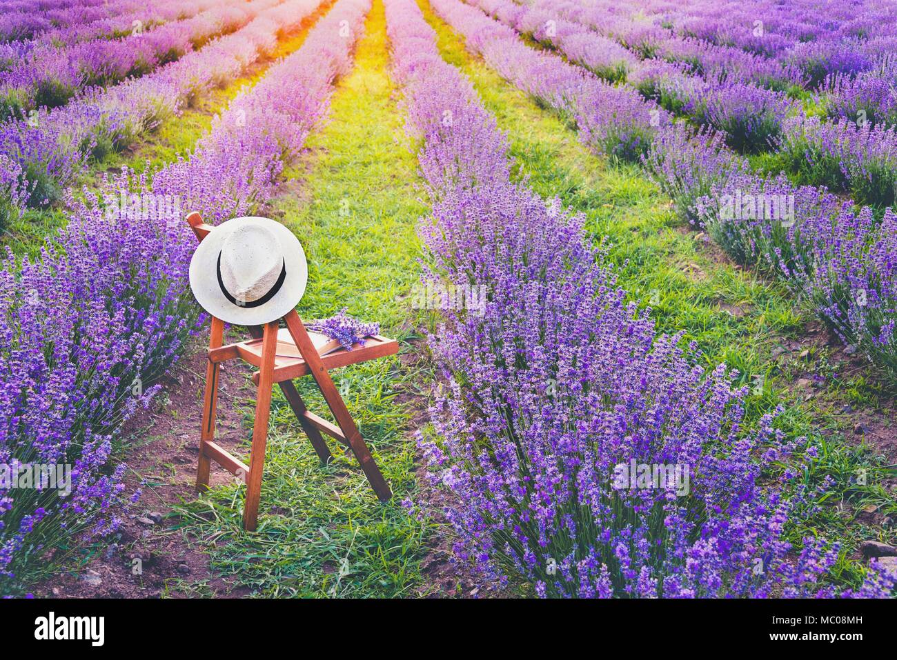 A chair with a hanged over hat, an open book and a bunch of lavender flowers between the blooming lavender rows under the summer sunset rays. Dream an Stock Photo