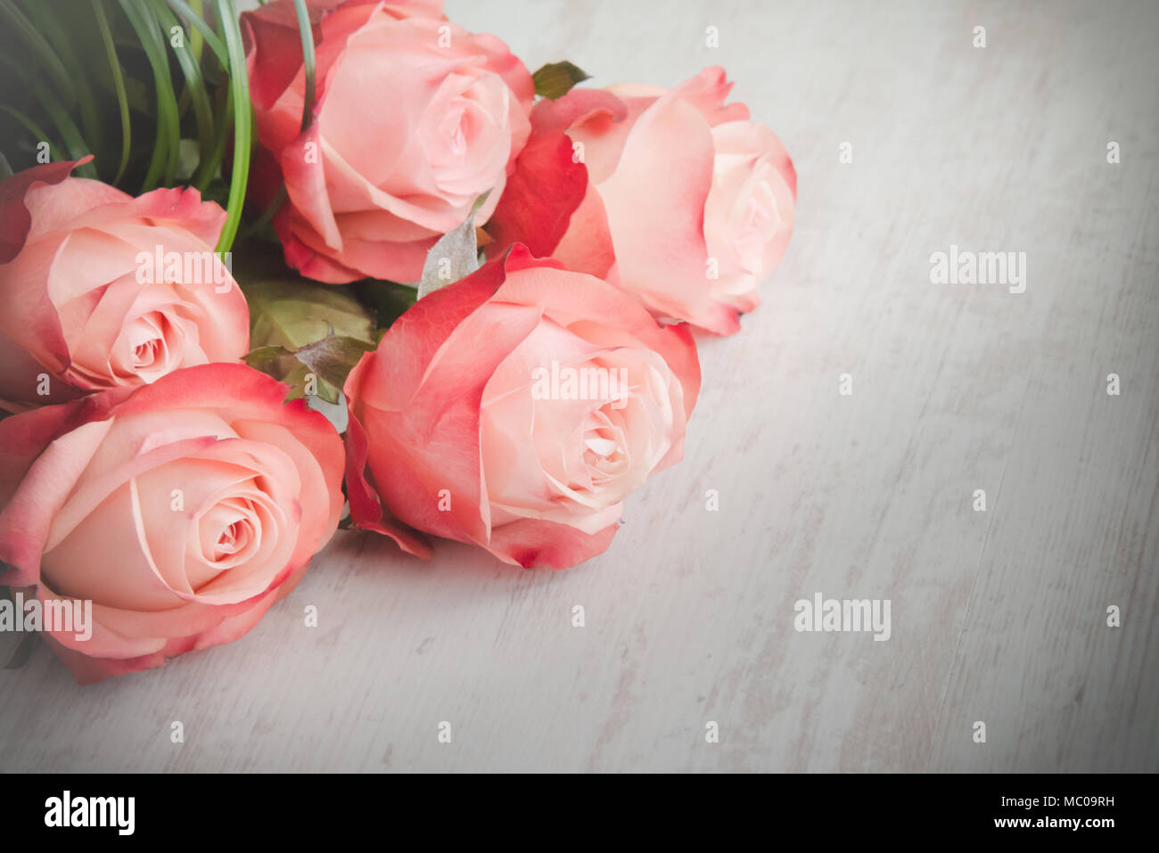 Ảnh nền hoa hồng cổ điển là điểm nhấn hoàn hảo cho máy tính bạn. Hãy để những gam màu nhẹ nhàng của hoa hồng cổ điển mang lại cho bạn cảm giác thư thái và tươi mới mỗi ngày.