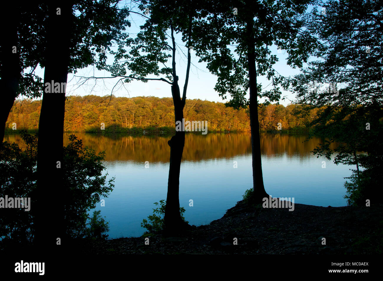 Millers Pond, Millers Pond State Park, Connecticut Stock Photo - Alamy