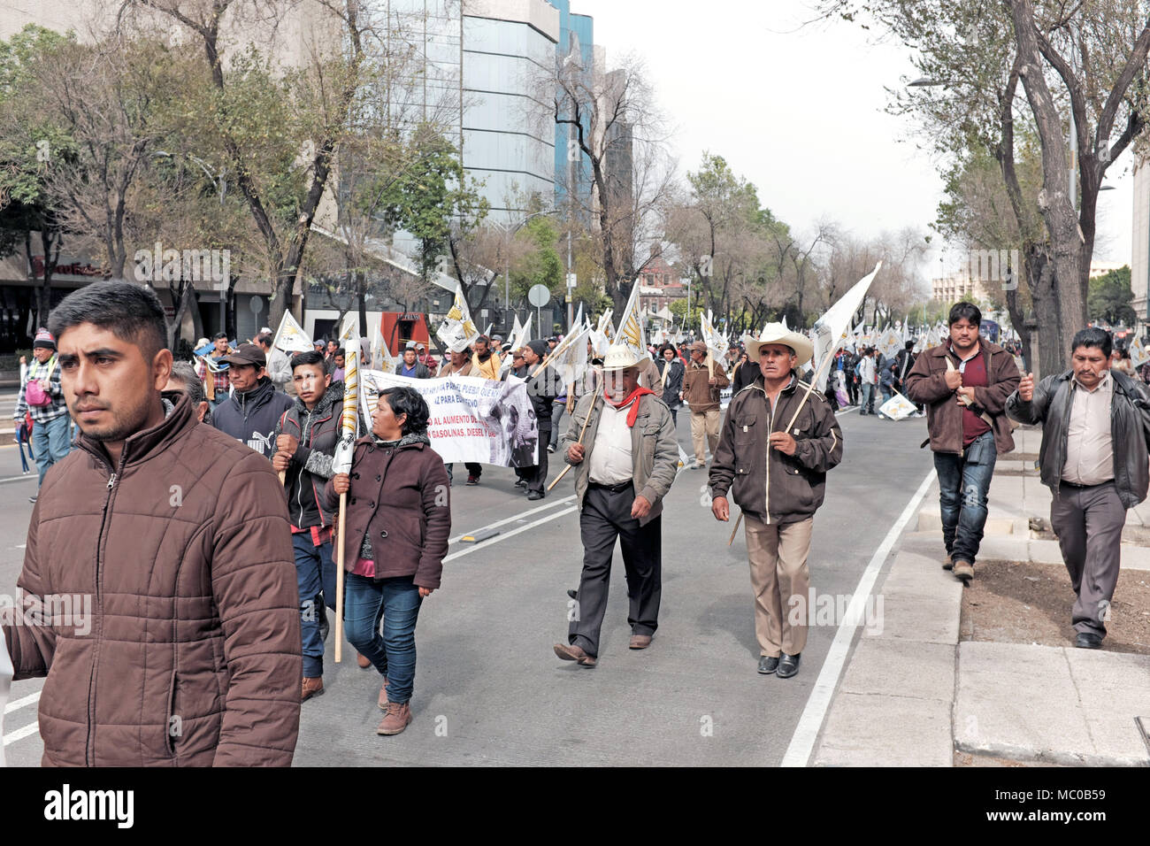 Provincial farmers and agriculture workers demonstrate against policies impacting their livelihoods along Paseo de la Reforma in Mexico City, Mexico. Stock Photo
