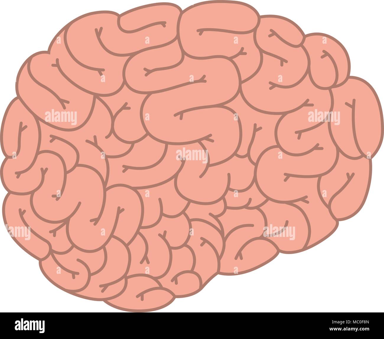 human brain organ icon Stock Vector Image & Art - Alamy