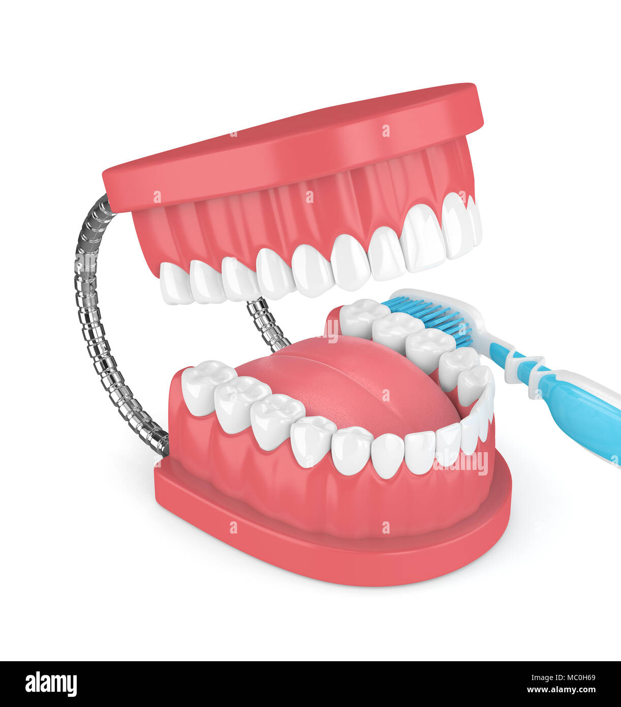 3d render of jaw model with toothbrush over white background Stock ...