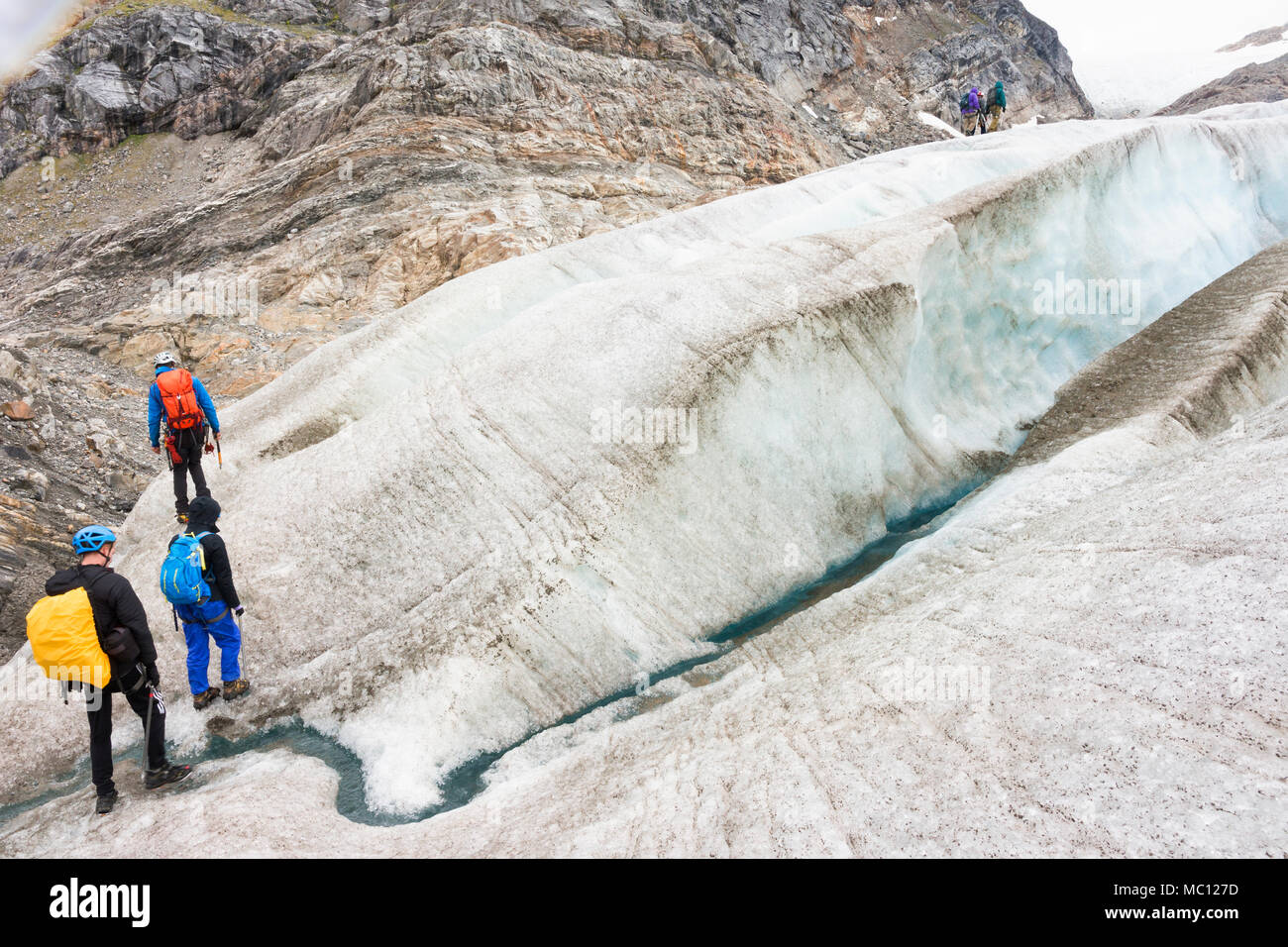 Trekking adventure on Lemon Glacier, Juneau Icefield, Juneau, Alaska ...