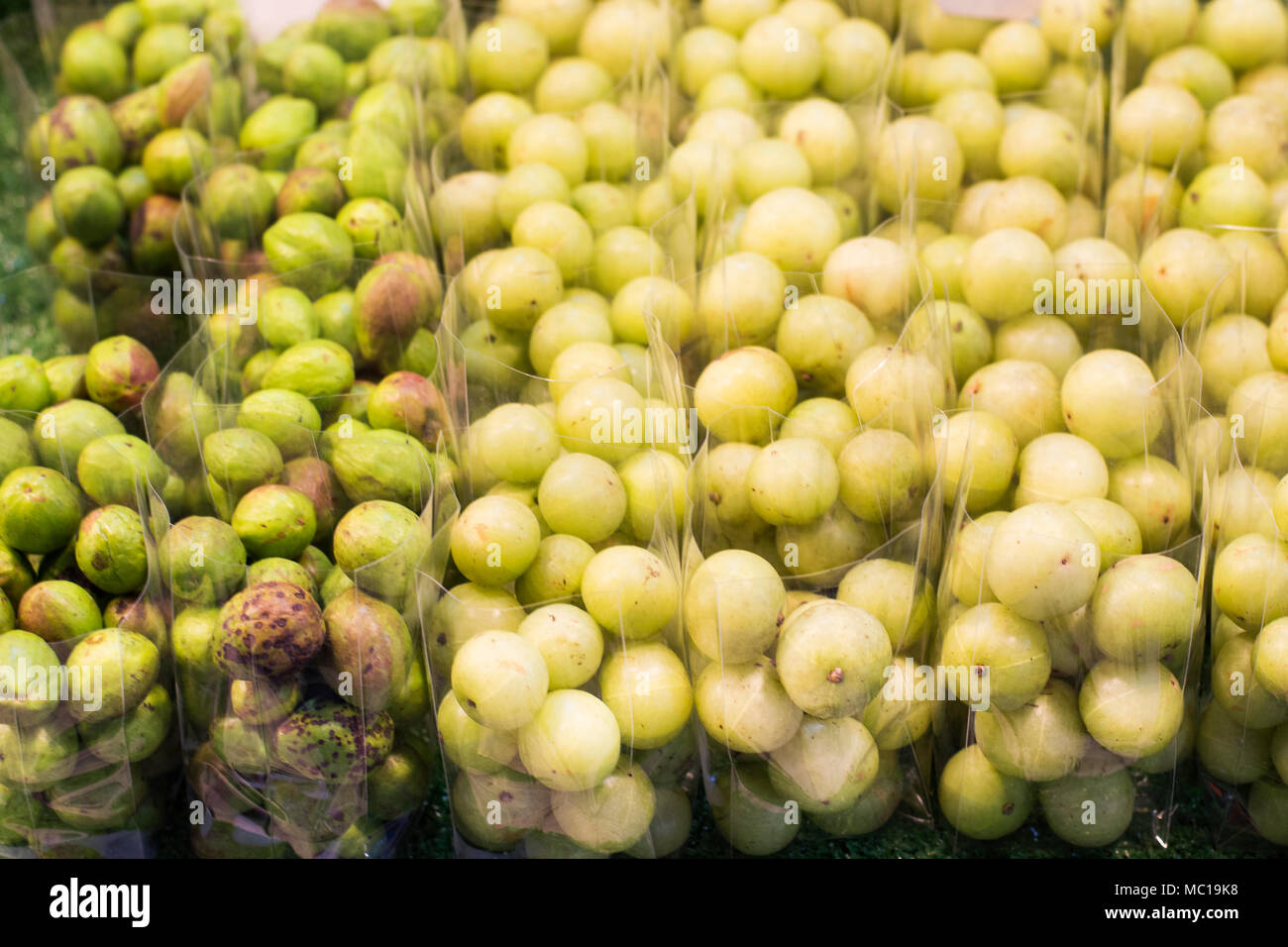 Phyllanthus emblica fruits or Indian gooseberry in plastic bag for sale people at Don Wai Floating Market in Nakhon Pathom, Thailand. Stock Photo