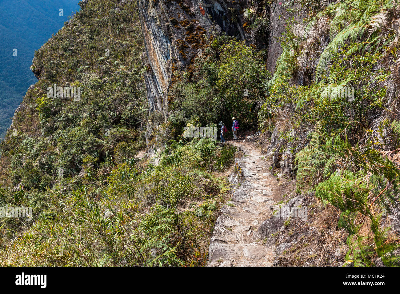 Peru machu picchu carved rock hi-res stock photography and images - Alamy