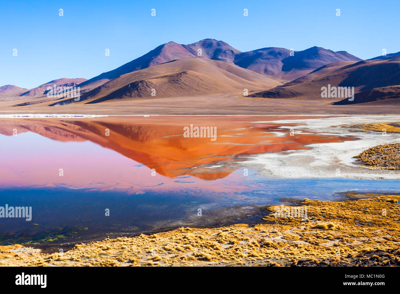 Laguna means Red Lake is a shallow salt lake in the southwest of the Altiplano of Bolivia Stock Photo - Alamy