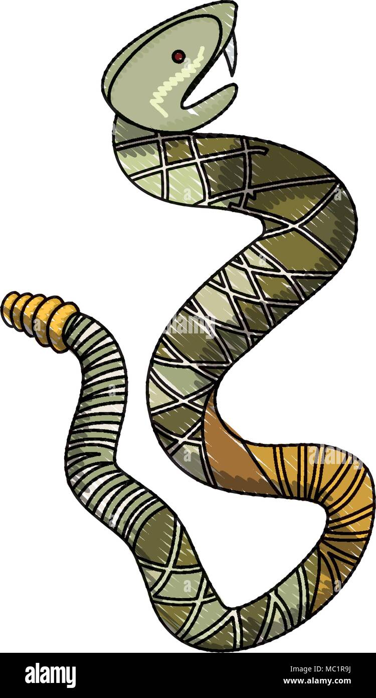 rattle snake wild icon Stock Vector Image & Art - Alamy