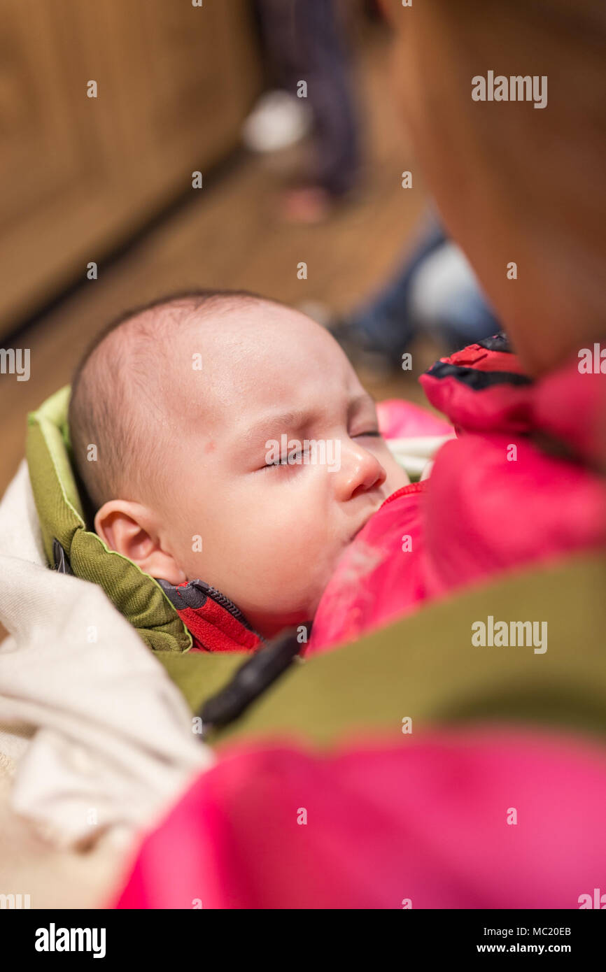 Baby sleeping in baby carrier Stock Photo Alamy