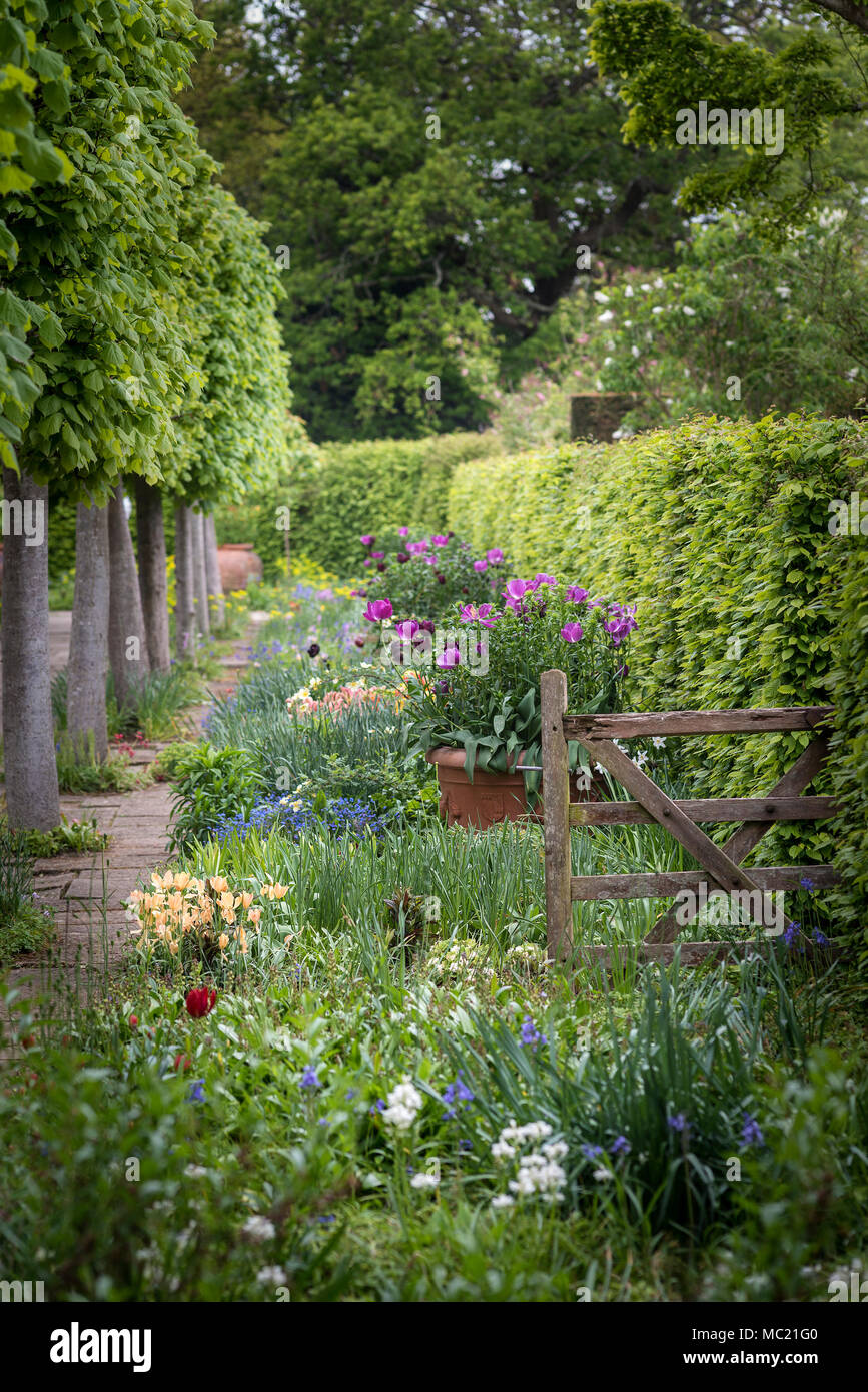 Quintessential English Country Garden Scene Landscape With Fresh