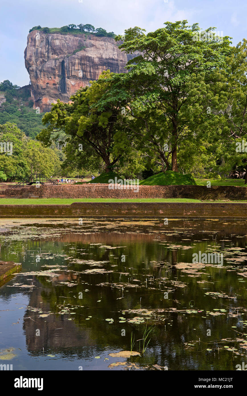 Vertical view of Sigiriya or Lions Rock reflected in the water gardens in Sri Lanka. Stock Photo