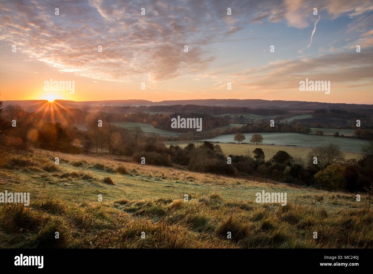 Sunrise on the North Downs at Newlands Corner, Surrey Stock Photo